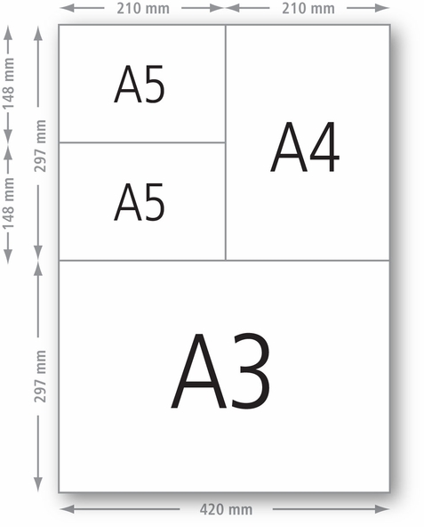 We Offer Document Printing Such As Brochures Flyers Color | Free Nude